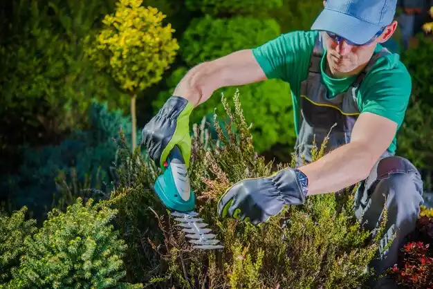 landscaping services Monterey